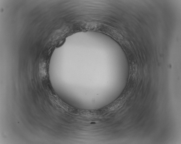 X0000081310962200701251739