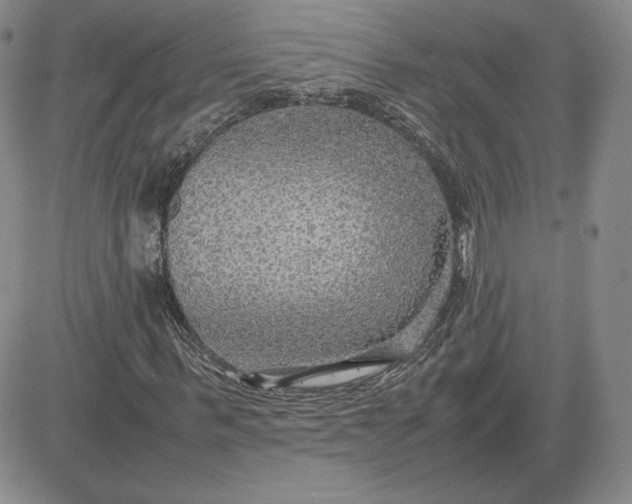 X0000081310963200701251739