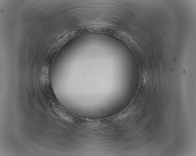 X0000081310964200701251739