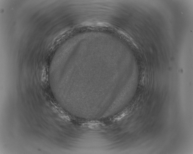 X0000081310966200701251739