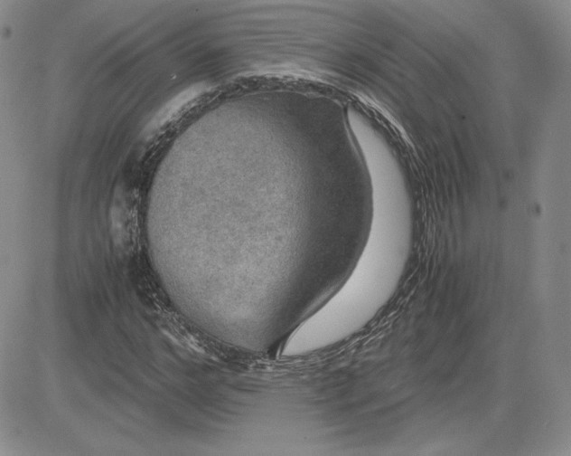 X0000081310968200701251739