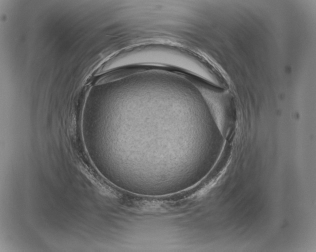 X0000081310969200701251739