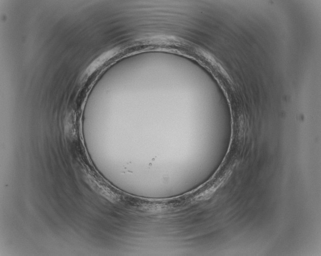 X0000081310970200701251739