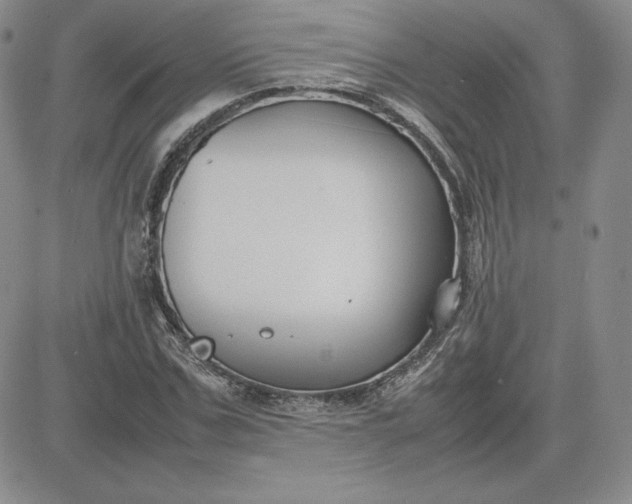 X0000081310971200701251739