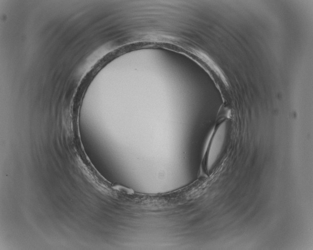 X0000081310972200701251739