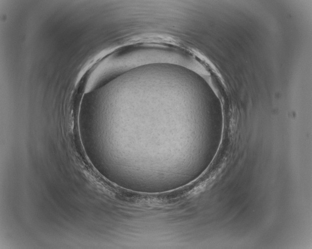 X0000081310973200701251739