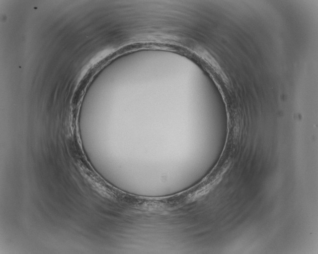 X0000081310974200701251739