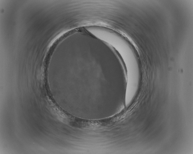 X0000081310975200701251739