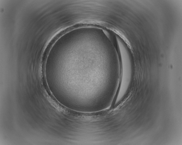 X0000081310976200701251739