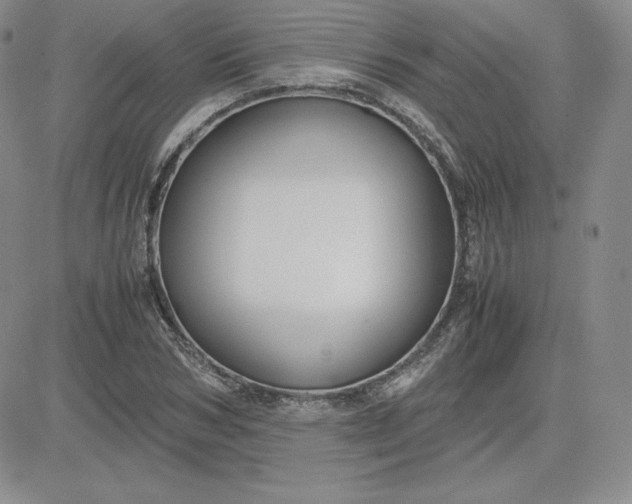 X0000081310978200701251739