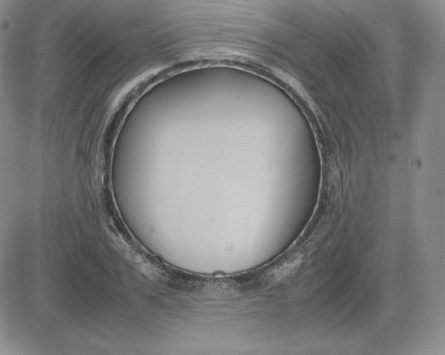 X0000081310979200701251739