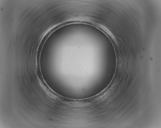 X0000081310980200701251739