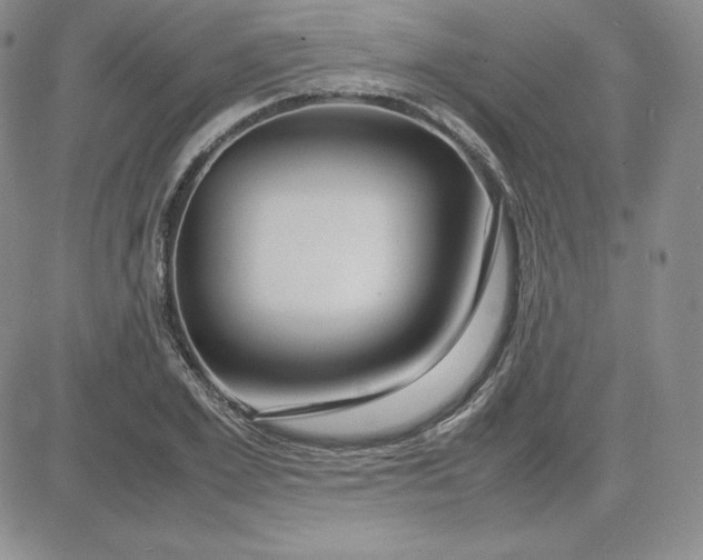 X0000081310981200701251738