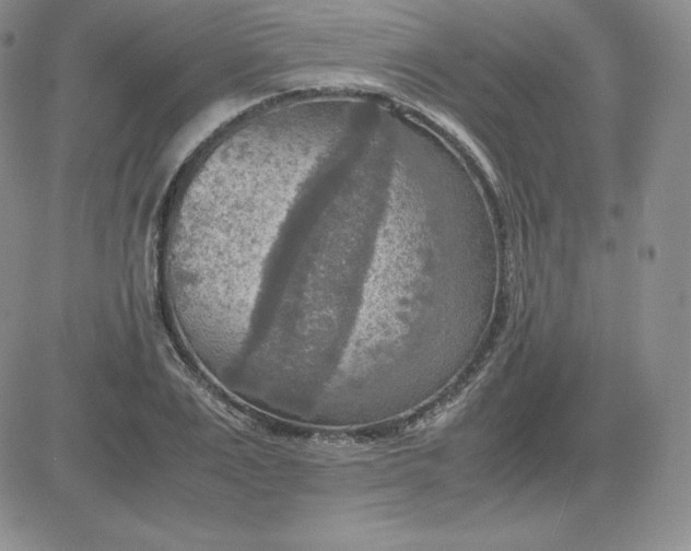 X0000081310983200701251738