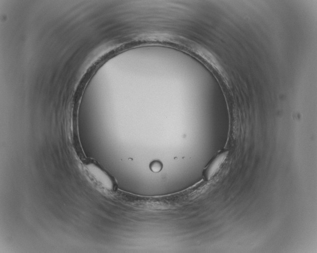 X0000081310984200701251738