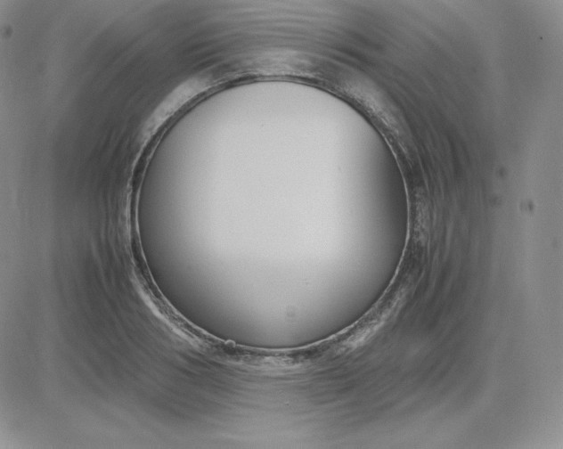 X0000081310986200701251738