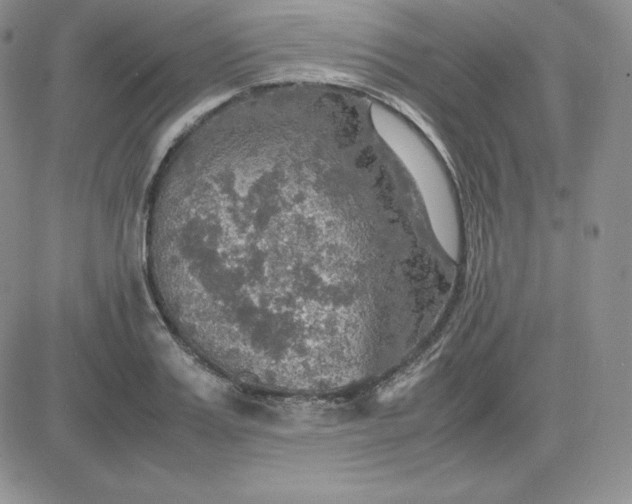 X0000081310987200701251738