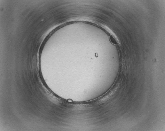 X0000081310988200701251738