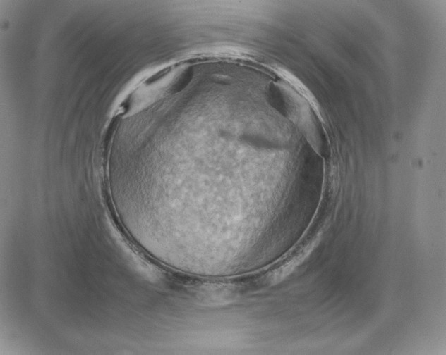 X0000081310989200701251738