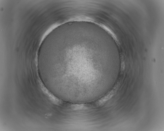 X0000081310990200701251738