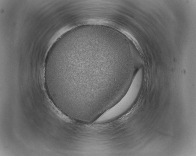 X0000081310992200701251738