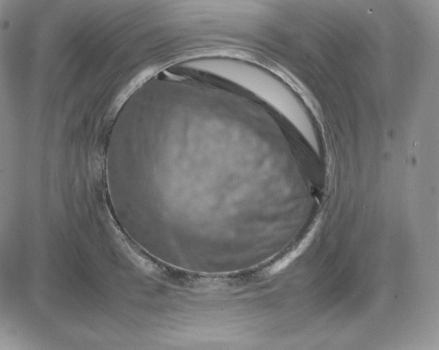 X0000081310993200701251738