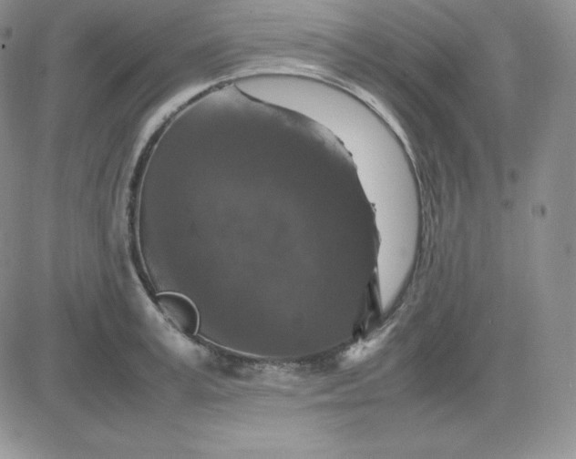 X0000081310995200701251738