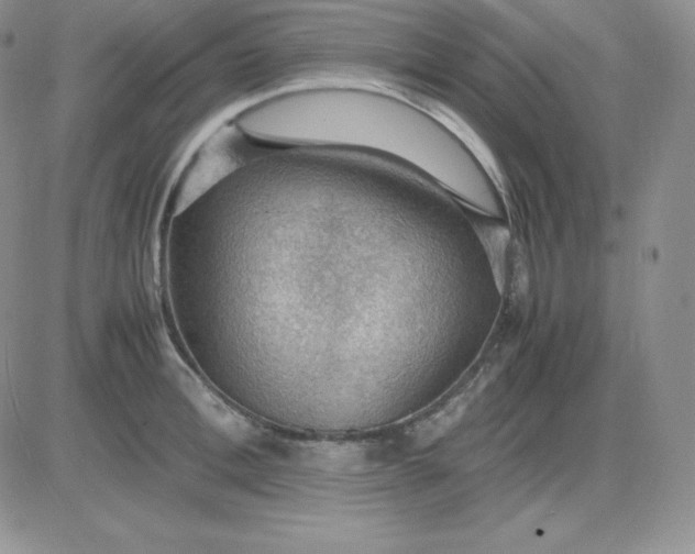 X0000081310996200701251738