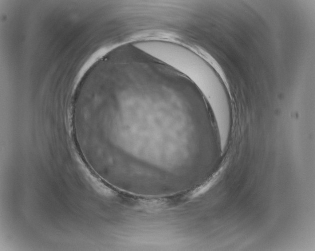 X0000081310997200701251738