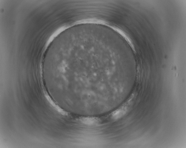 X0000081310998200701251738