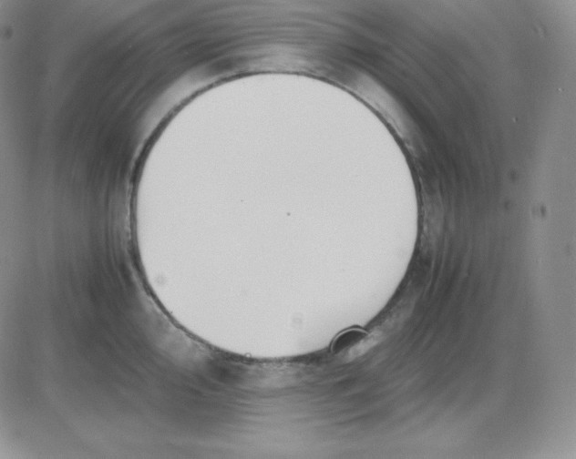 X0000081311000200701251738