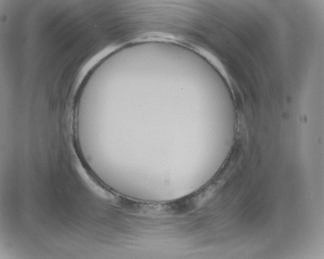 X0000081311003200701251738