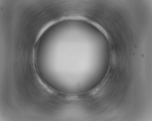 X0000081311006200701251738