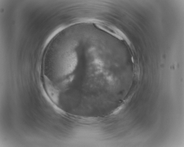 X0000081311007200701251738