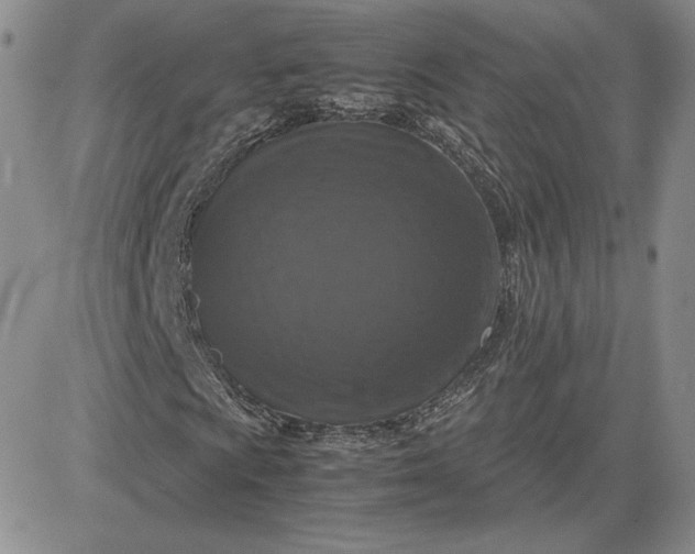 X0000081311009200701251737