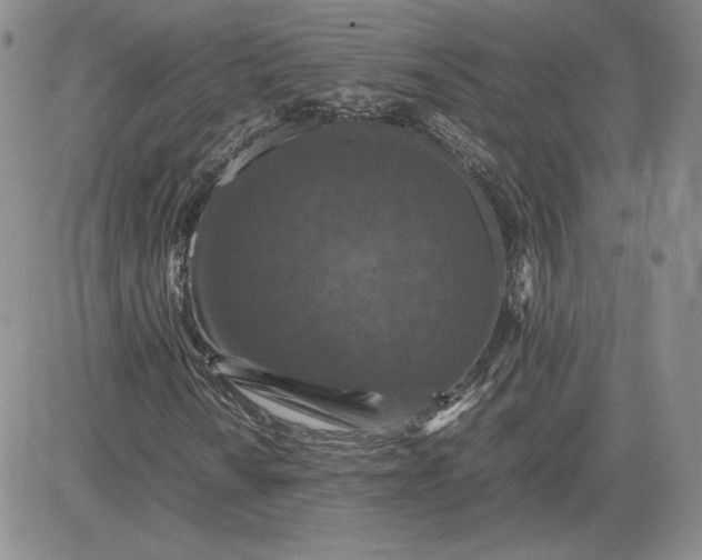 X0000081311010200701251737