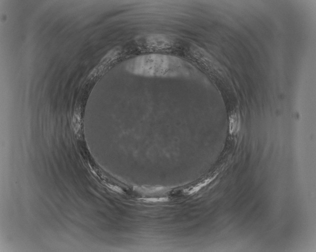 X0000081311011200701251737