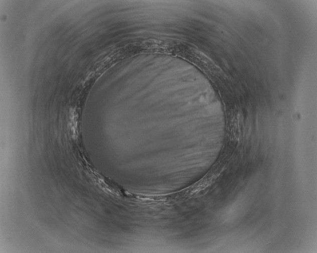 X0000081311013200701251737