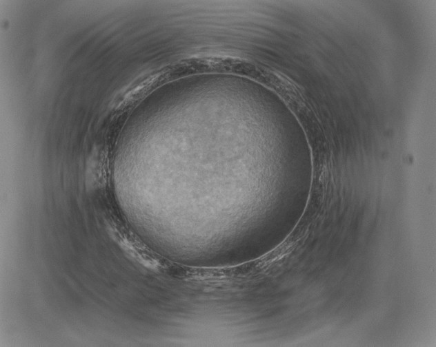 X0000081311014200701251737