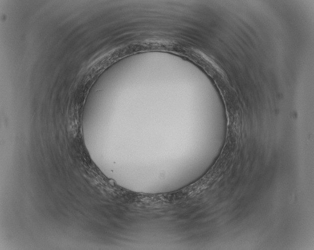 X0000081311015200701251737