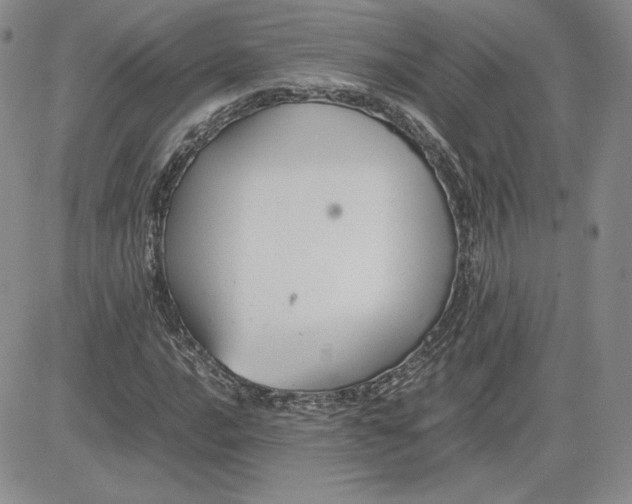 X0000081311016200701251737