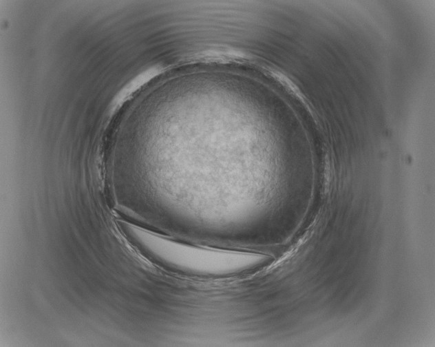 X0000081311018200701251737