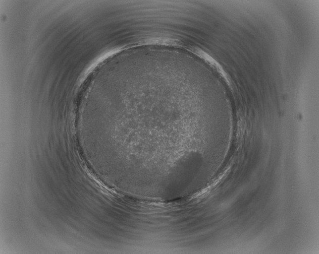 X0000081311019200701251737