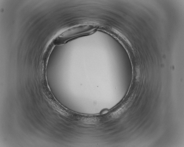 X0000081311021200701251737