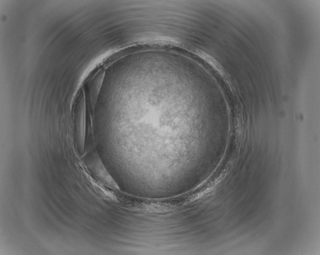 X0000081311022200701251737