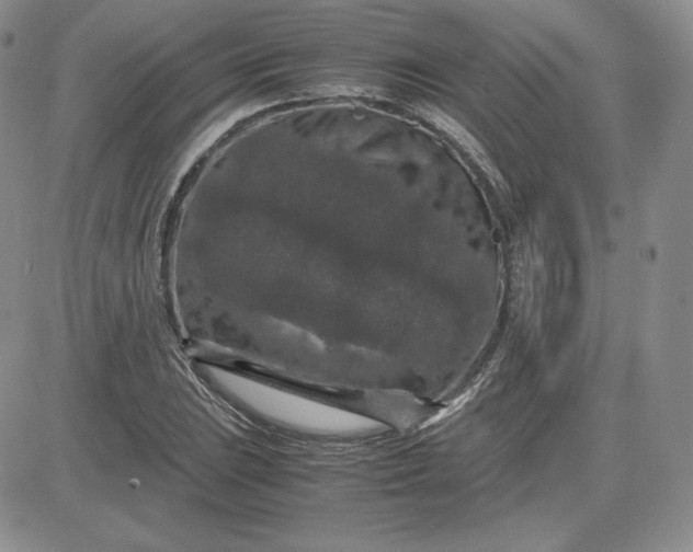 X0000081311023200701251737