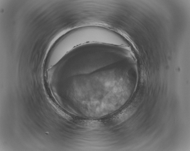 X0000081311024200701251738