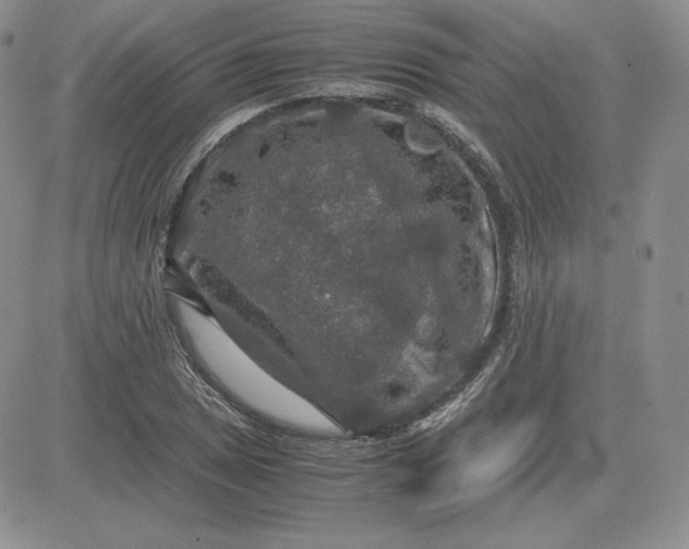 X0000081311025200701251738