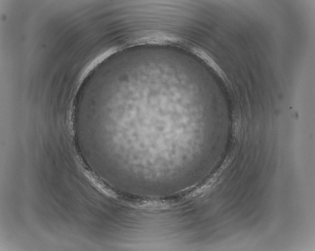 X0000081311026200701251738