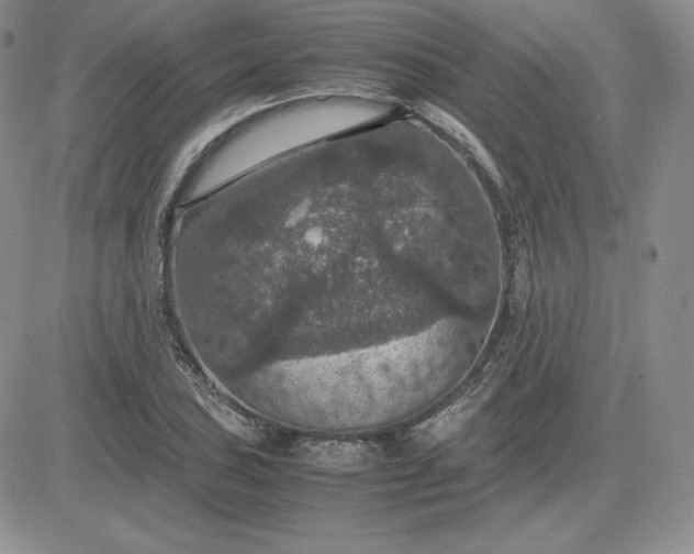 X0000081311027200701251738